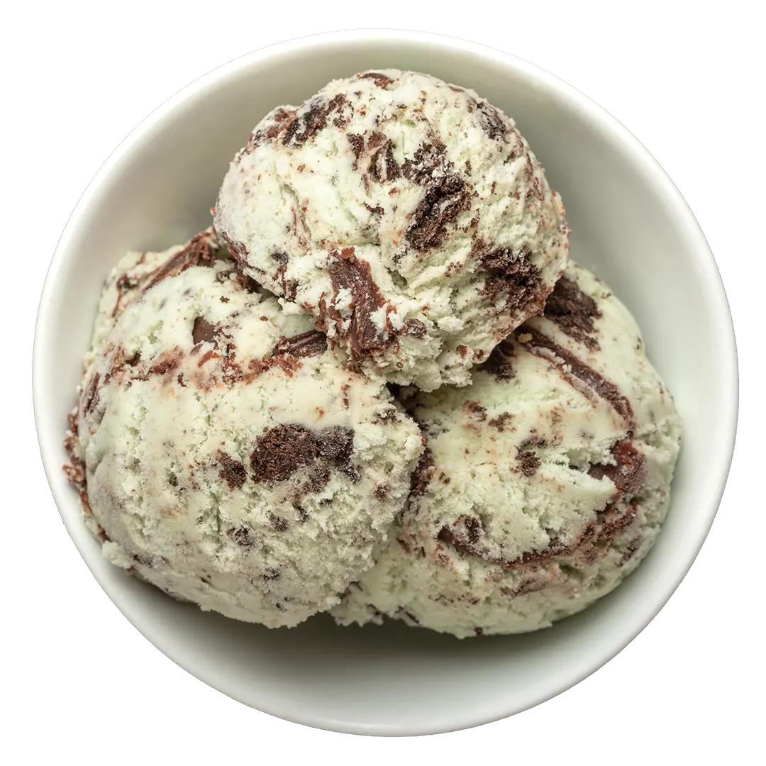 Perry's Ice Cream (8 oz cup)